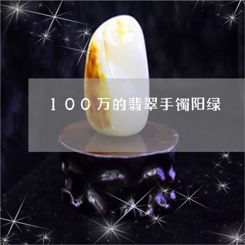 100万的翡翠手镯阳绿/2023102504130