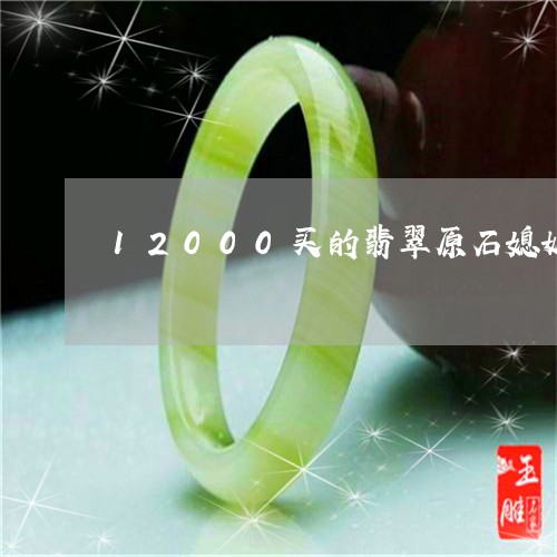 12000买的翡翠原石媳妇退了/2023110683558