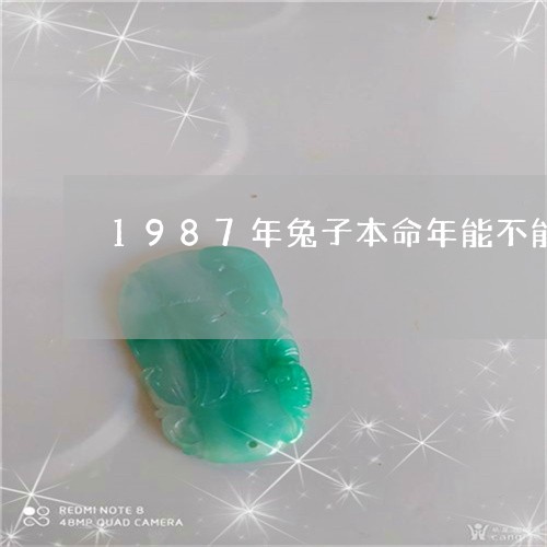 1987年兔子本命年能不能戴财神吊坠/2023080355186