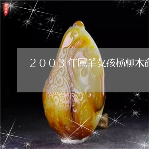 2003年属羊女孩杨柳木命戴什么手式好/2023080366719