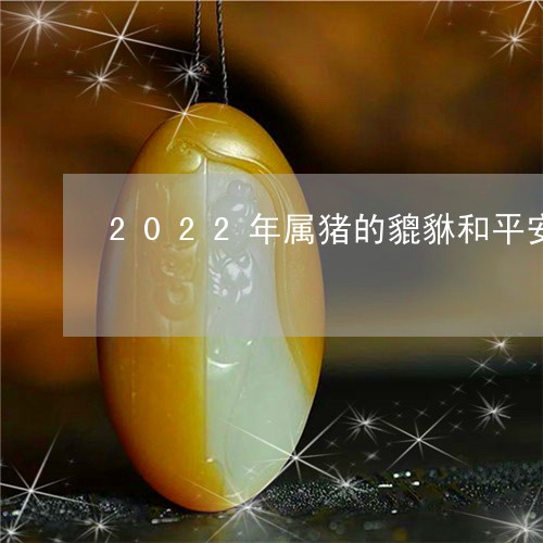 2022年属猪的貔貅和平安扣能一起戴吗/2023080340610