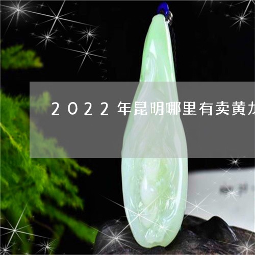 2022年昆明哪里有卖黄龙玉/2023051790962