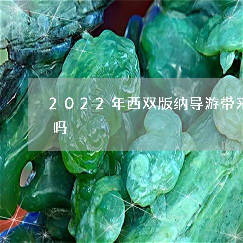 2022年西双版纳导游带来买的翡翠可靠吗/2023080308752