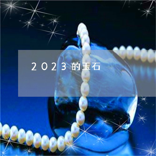 2023的玉石/2023101840480