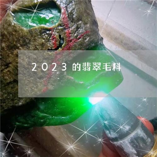 2023的翡翠毛料/2023110161622