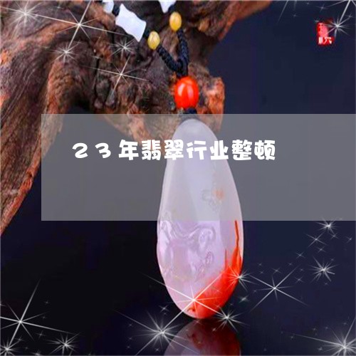 23年翡翠行业整顿/2023110185889