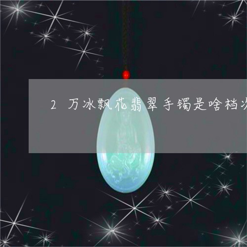 2万冰飘花翡翠手镯是啥档次/2023092955111