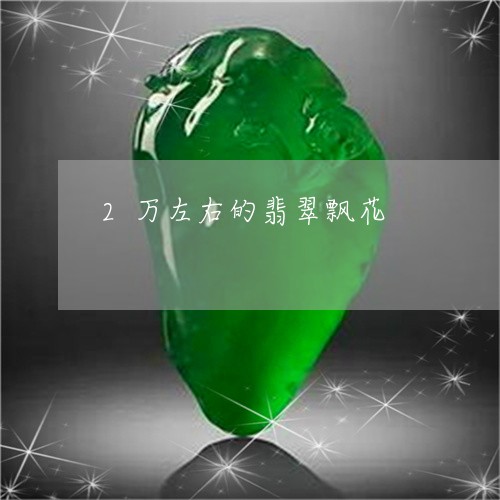 2万左右的翡翠飘花/2023101955318