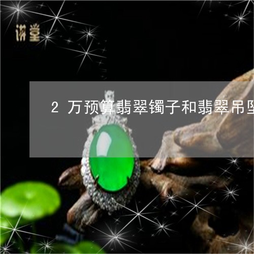 2万预算翡翠镯子和翡翠吊坠买哪个/2023080218968