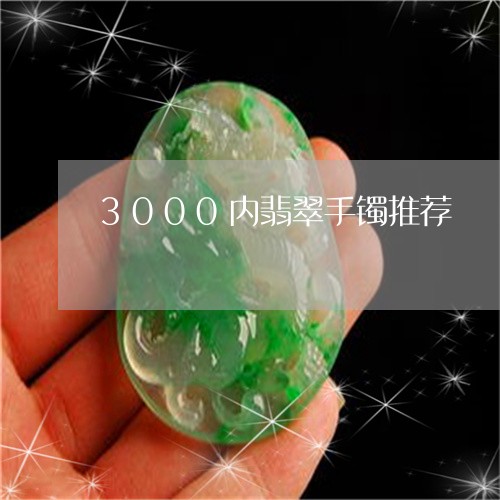 3000内翡翠手镯推荐/2023092879808