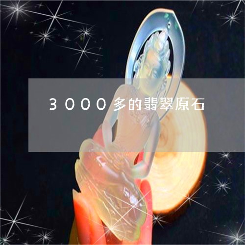 3000多的翡翠原石/2023082400345