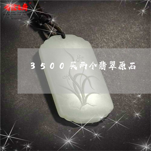 3500买两个翡翠原石/2023102635827