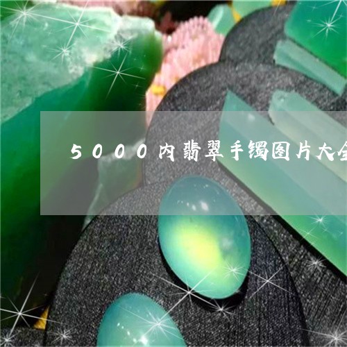 5000内翡翠手镯图片大全/2023092952353