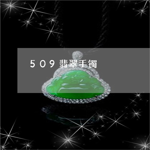 509翡翠手镯/2023101805241