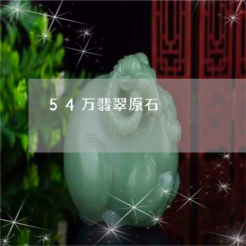 54万翡翠原石/2023101820656