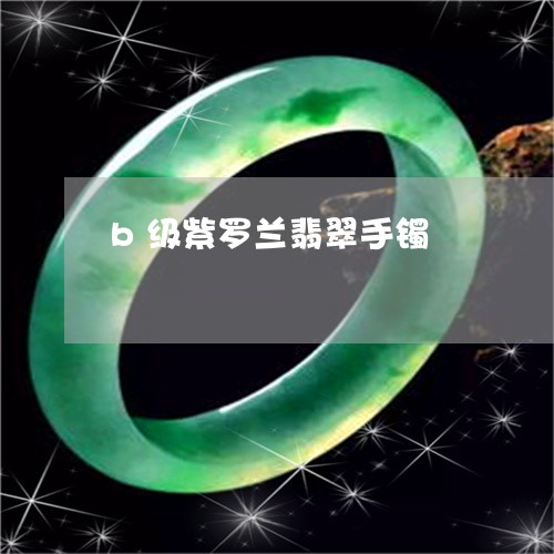 b级紫罗兰翡翠手镯/2023110203018