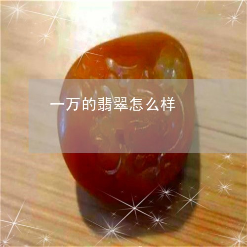 一万的翡翠怎么样/2023101870973