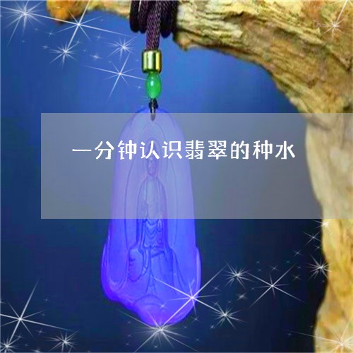 一分钟认识翡翠的种水/2023082594985