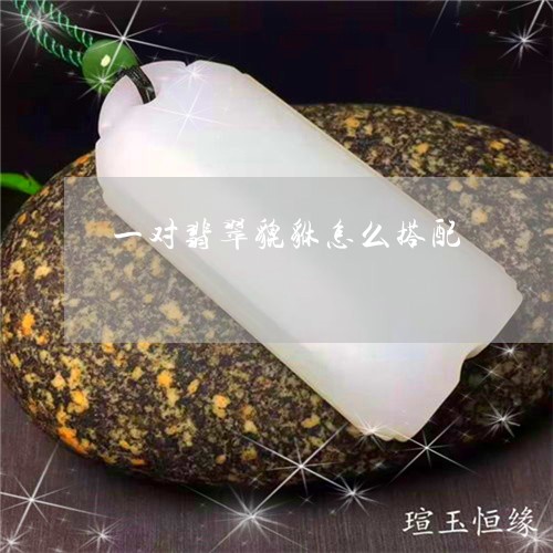 一对翡翠貔貅怎么搭配/2023102457765