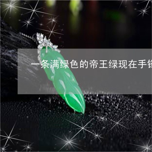 一条满绿色的帝王绿现在手镯什么价格/2023080327198