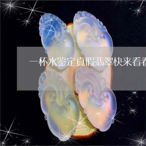 一杯水鉴定真假翡翠快来看看吧/2023101791745