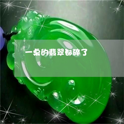 一桌的翡翠都碎了/2023101872866