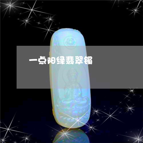 一点阳绿翡翠镯/2023080452244