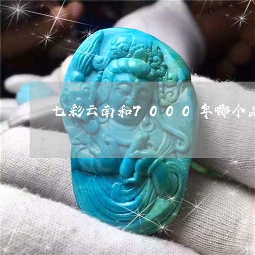 七彩云南和7000年哪个品牌的玉好/2023080357837