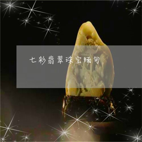 七彩翡翠珠宝缅甸/2023101834408