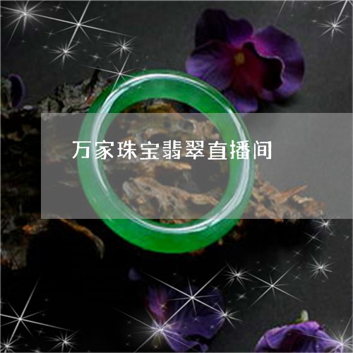 万家珠宝翡翠直播间/2023110173212