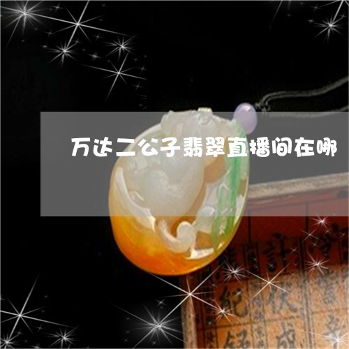 万达二公子翡翠直播间在哪/2023092858672