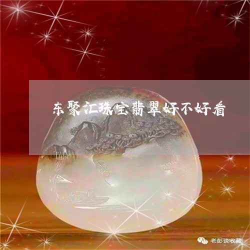 东聚汇珠宝翡翠好不好看/2023092830031