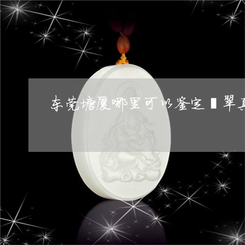 东莞塘厦哪里可以鉴定翡翠真假/2023101725778