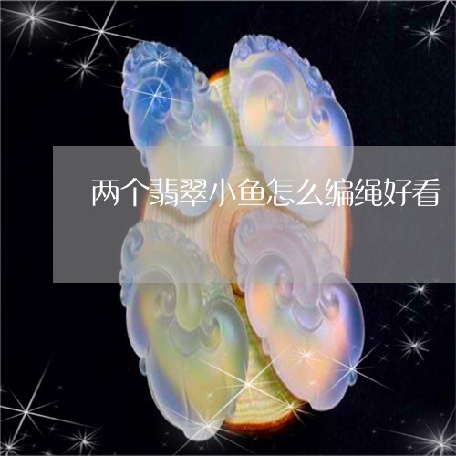 两个翡翠小鱼怎么编绳好看/2023092953173