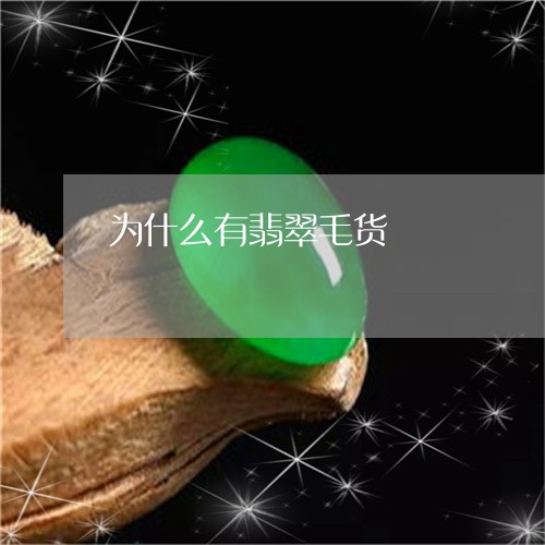 为什么有翡翠毛货/2023103160279