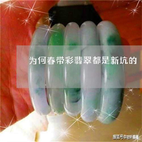 为何春带彩翡翠都是新坑的/2023101673597