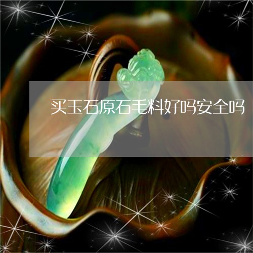 买玉石原石毛料好吗安全吗/2023102615099