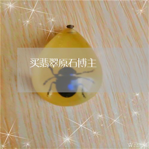 买翡翠原石博主/2023080560529