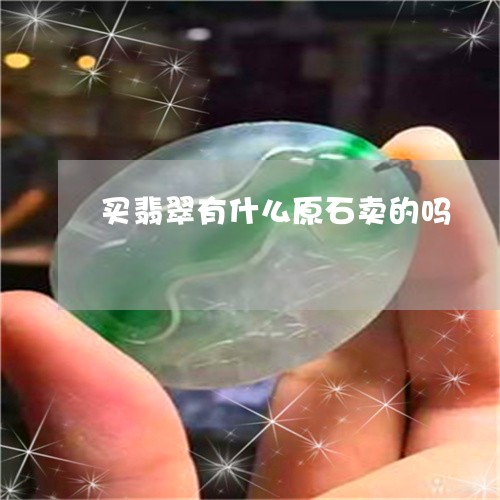 买翡翠有什么原石卖的吗/2023102611033