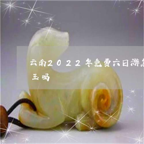 云南2022年免费六日游怎么样必须要买玉吗/2023080461383