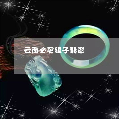 云南必买银子翡翠/2023090794813