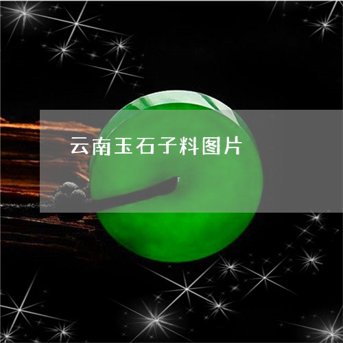 云南玉石子料图片/2023090702708