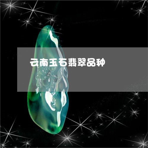 云南玉石翡翠品种/2023090754014