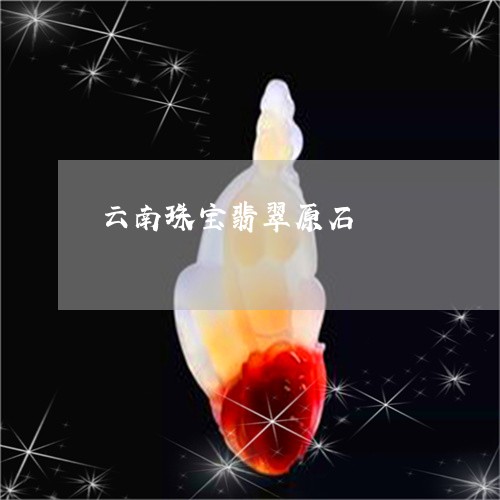 云南珠宝翡翠原石/2023090704979