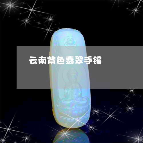 云南紫色翡翠手镯/2023090788269