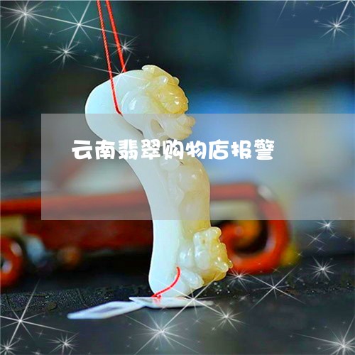 云南翡翠购物店报警/2023110134001