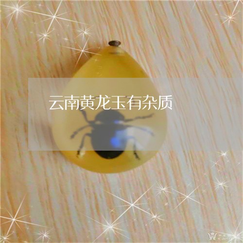 云南黄龙玉有杂质/2023051809501