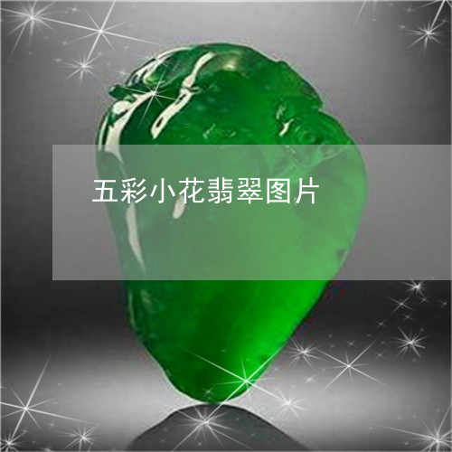 五彩小花翡翠图片/2023080581976