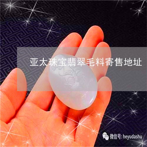 亚太珠宝翡翠毛料寄售地址/2023101797549