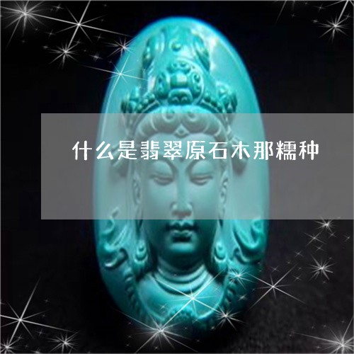 什么是翡翠原石木那糯种/2023102621664